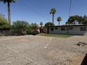 Expansive backyard with mature palm trees, updated landscaping, and potential for outdoor living at 2325 E Osborn Rd, Phoenix, AZ 85016