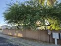 Street view with mature tree and mailboxes at 7027 W Midway Ave, Glendale, AZ 85303