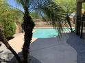 Relaxing backyard pool surrounded by lush greenery and mature trees offers a serene outdoor escape at 9018 W Superior Ave, Tolleson, AZ 85353