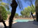 Backyard pool framed by mature landscaping and decorative rock features offers a tranquil oasis at 9018 W Superior Ave, Tolleson, AZ 85353