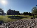 Community park featuring a large grassy lawn, mature shade trees and walking trails at 9904 E Elena Ave, Mesa, AZ 85208