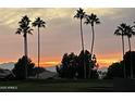 Scenic desert sunset with palm trees and mountain views providing a tranquil backdrop at 17293 N Ponca Way, Surprise, AZ 85374