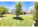 Expansive backyard featuring lush green lawn, mature trees, and a covered patio with a pool at 23090 S 201St St, Queen Creek, AZ 85142