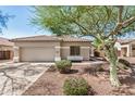 Home exterior featuring neutral paint, tile roof, desert landscaping, and shade tree at 13020 W Highland Ave, Litchfield Park, AZ 85340