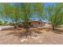 Home with desert landscaping and mature trees in the backyard at 4501 N 60Th Ave, Phoenix, AZ 85033