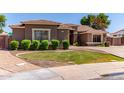 Manicured front yard featuring green grass, trimmed bushes, decorative rocks, and a quaint brick border at 557 S Lemon Ct, Gilbert, AZ 85296