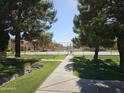 Scenic view of the community tennis court, framed by mature trees and lush green lawns at 5813 W Gelding Dr, Glendale, AZ 85306