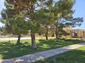 Beautiful view of a well-maintained sidewalk, mature trees, and a peek of the community building at 5813 W Gelding Dr, Glendale, AZ 85306