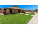 Well-manicured front yard of a brick home with a lovely, green lawn and mature landscaping at 2956 E Concho Ave, Mesa, AZ 85204