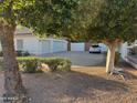 View of garage with a large driveway and mature trees, providing shade and character at 1454 E Calle De Arcos --, Tempe, AZ 85284