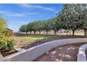 Spacious backyard featuring mature trees and manicured landscaping at 856 W Quail Cir, San Tan Valley, AZ 85143