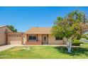 Single-story home featuring a well-manicured lawn, brick accents, and a charming orange tree in the front yard at 160 Leisure World -- # 160, Mesa, AZ 85206