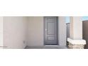 Close-up of a stylish gray front door with modern hardware at 2024 W Sheridan Ave, Apache Junction, AZ 85120