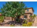 Attractive stucco home with stone accents, a large tree, and manicured landscaping at 5235 S Dante --, Mesa, AZ 85212