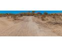 Photo of dirt road leading to the property with sparse desert landscaping at 10480 W Martin Rd, Casa Grande, AZ 85194