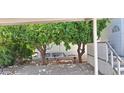 A shaded backyard features mature trees, rock landscaping, and covered patio, creating a serene outdoor space at 17200 W Bell Rd # 1501, Surprise, AZ 85374