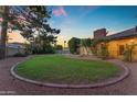 Lush green backyard with a manicured lawn, mature trees, and a charming patio, perfect for outdoor living and relaxation at 8604 S Oak St, Tempe, AZ 85284
