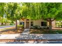 Inviting single-story home boasts mature trees, a tidy landscaped yard, and a paved walkway to the front door at 967 E Hearne Way, Gilbert, AZ 85234