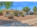 Desert landscaped front yard with a well-maintained home and desert plants, including a saguaro cactus at 14808 N 37Th Way, Phoenix, AZ 85032