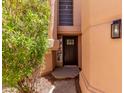Home entrance features a stylish dark wood door and an outdoor light fixture at 6439 E Redmont Dr, Mesa, AZ 85215