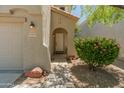 A cozy front entrance adorned with plants and a decorative exterior with shade tree at 8259 W Carol Ave, Peoria, AZ 85345