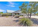Well-maintained single-story home boasting desert landscaping, mature trees, and a welcoming facade at 2911 E Leland St, Mesa, AZ 85213