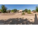 Large dirt backyard with trees and potential to customize at 31700 N Sunflower Way, San Tan Valley, AZ 85143