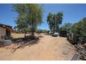 Large backyard with a variety of plants, trees and some equipment at 6249 E Larkspur Dr, Scottsdale, AZ 85254