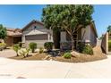 Inviting home exterior with desert landscaping, mature tree, and a stone-accented facade at 7423 S 28Th Pl, Phoenix, AZ 85042