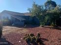 Well-landscaped yard featuring decorative gravel and desert plants at 3830 W Cavalier Dr, Phoenix, AZ 85019