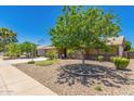 Charming single-story home with desert landscaping and a large shade tree at 5312 S Hazelton Ln, Tempe, AZ 85283