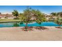Scenic view of a serene lake framed by mature trees and well-maintained landscaping at 786 S Catalina St, Gilbert, AZ 85233