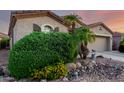 Beautifully landscaped front exterior featuring lush greenery and vibrant yellow flowers at 4637 E Narrowleaf Dr, Gilbert, AZ 85298