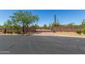 View of the decorative gated entrance with desert landscaping of the property, including a large tree and various cacti at 8043 E Laurel St, Mesa, AZ 85207