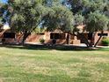 Exterior of building overlooking grassy area, benches, and mature shade trees at 8940 W Olive Ave # 39, Peoria, AZ 85345