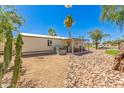 Backyard view of home featuring rock landscaping, cactus, and a covered patio at 17200 W Bell Rd # 2189, Surprise, AZ 85374