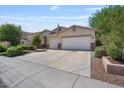 Suburban home with an expansive concrete driveway, manicured lawn, and three-car garage at 1145 E Winchester Pl, Chandler, AZ 85286