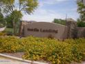 Entrance to Ocotillo Landing with stone pillars and vibrant yellow flowers at 21050 E Munoz St, Queen Creek, AZ 85142