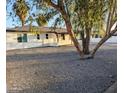 Well-kept single-story home with low-maintenance gravel landscaping and mature tree at 3421 W Montecito Ave, Phoenix, AZ 85017