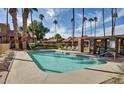 A well-maintained community pool area offers a relaxing oasis surrounded by mature palm trees and comfortable lounge chairs at 3511 E Baseline Rd # 1098, Phoenix, AZ 85042