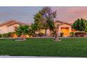 Charming single-story home featuring lush green lawn, mature trees, and inviting entryway at 3531 E Norwood Cir, Mesa, AZ 85213