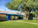 Charming single-story home with a large, mature shade tree enhancing the front yard at 846 E Ocotillo Rd, Phoenix, AZ 85014