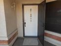 Close up of the home's white front door featuring glass block accents and a storm door at 1044 N Abner --, Mesa, AZ 85205