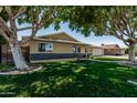 Inviting single-story house featuring lush green lawn, mature trees, and a well-maintained exterior at 8315 E Vernon Ave, Scottsdale, AZ 85257