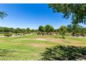 Expansive green park area with mature trees and manicured landscaping, a perfect community space at 3229 E Mountain Village Cir, Phoenix, AZ 85042
