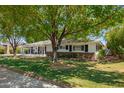 Lush front yard with mature trees shading a charming home with a pergola-covered entrance at 4238 E Mitchell Dr, Phoenix, AZ 85018