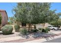Landscaped front yard featuring lush trees, desert plants, and charming curb appeal at 10414 W Windsor Ave, Avondale, AZ 85392