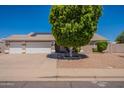 Charming single-story home with a well-maintained lawn and a large tree in the front yard at 823 N 81St St, Mesa, AZ 85207