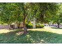 A large backyard with mature tree coverage, complemented by a brick fence and green lawn at 840 E 2Nd St, Mesa, AZ 85203