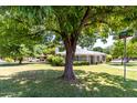 Street view of a home with lush green lawn, mature trees, and manicured bushes at 840 E 2Nd St, Mesa, AZ 85203